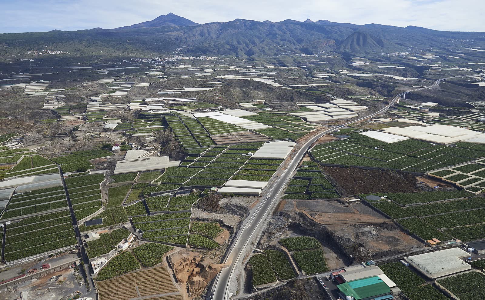 Vista aérea de lotes de banano